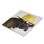 Boxer hond met pet en glazen tegeltje (Zijkant)