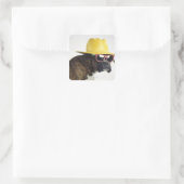 Boxer hond met pet en glazen vierkante sticker (Tas)
