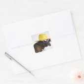 Boxer hond met pet en glazen vierkante sticker (Envelop)