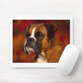 Boxer-hond Muismat (Met muis)