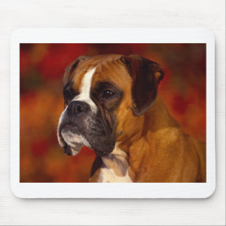 Boxer-hond Muismat