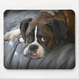 boxer, hond muismat