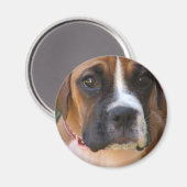 Boxer hond ontwerp magneet (Voorkant / Achterkant)