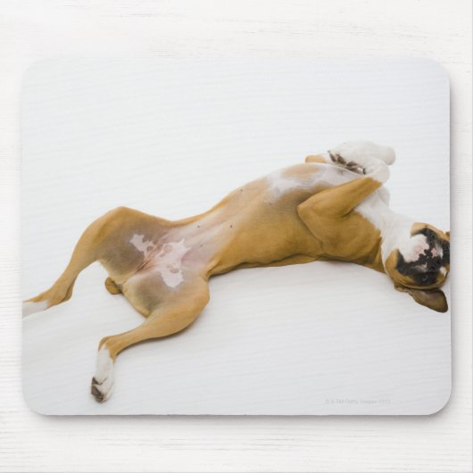 Boxer hond op haar rug op de vloer muismat (Voorkant)