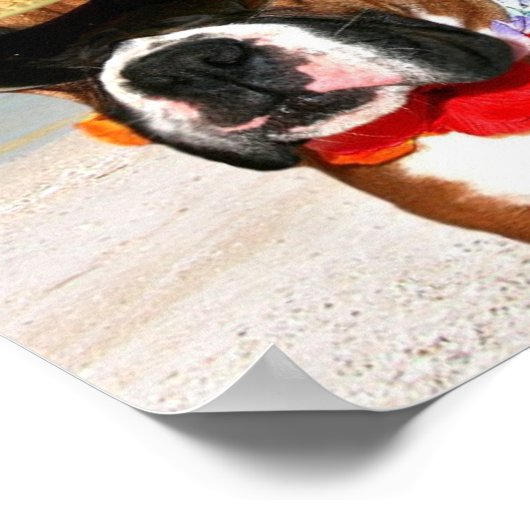 Boxer-hond op het strand poster (Hoek)