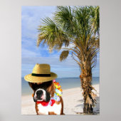 Boxer-hond op het strand poster (Voorkant)