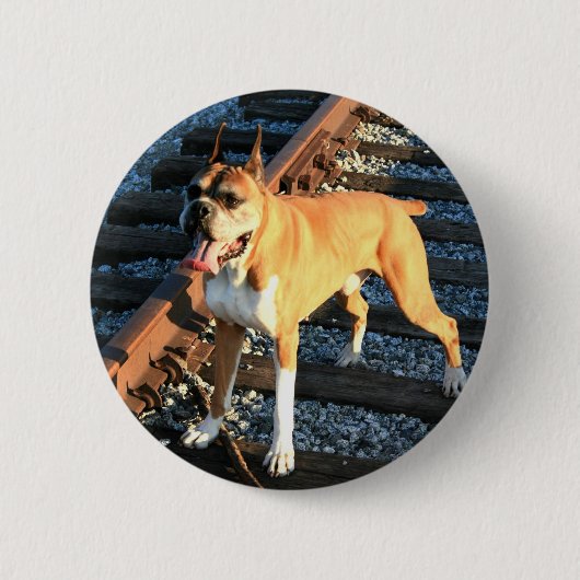 Boxer-hond op Railroad Track Button (Voorkant)