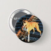 Boxer-hond op Railroad Track Button (Voorkant /achterkant)