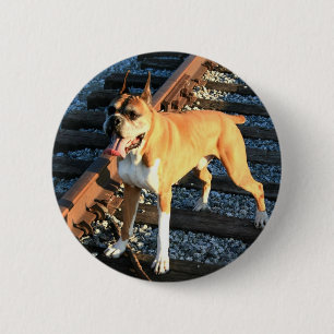 Boxer-hond op Railroad Track Button