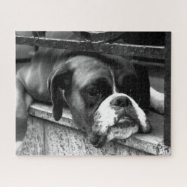 Boxer hond op vensterbank 16x20 520pc jpcna legpuzzel