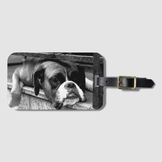 Boxer hond op vensterbank bc ltcnm bagagelabel (Voorkant (horizontaal))