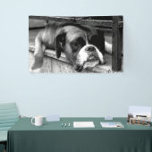 Boxer hond op vensterbank BNRCN Spandoek (Beurs)