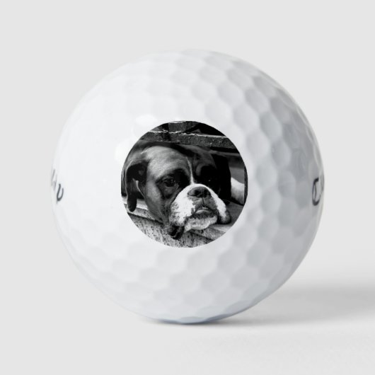 Boxer hond op vensterbank cwb gbcna golfballen (Voorkant)