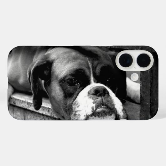 Boxer hond op vensterbank iphcna Case-Mate iPhone case (Achterkant (horizontaal))