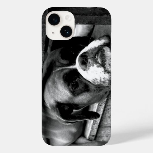 Boxer hond op vensterbank iphcna Case-Mate iPhone case (Achterkant)