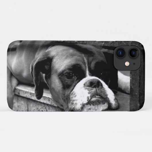 Boxer hond op vensterbank iphcnm Case-Mate iPhone case (Achterkant (horizontaal))