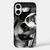 Boxer hond op vensterbank iphcnm Case-Mate iPhone case (Achterkant)