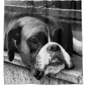 Boxer hond op vensterbank sccna douchegordijn (Voorkant)