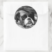 Boxer hond op vensterbank stcna ronde sticker (Tas)
