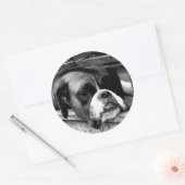 Boxer hond op vensterbank stcnm ronde sticker (Envelop)