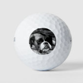 Boxer hond op vensterbank wu gbcna golfballen (Voorkant)