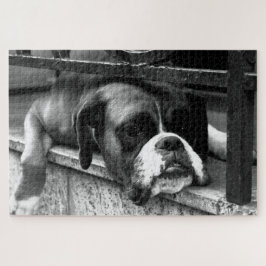 Boxer Hond op Windowsill 20x30 1014pc jpcnm Legpuzzel