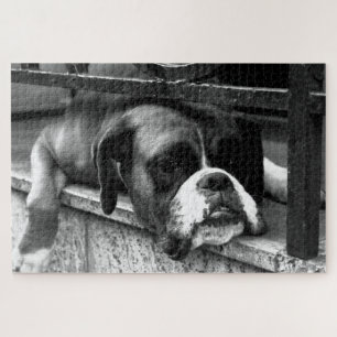 Boxer Hond op Windowsill 20x30 1014pc jpcnm Legpuzzel