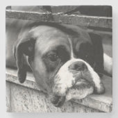 Boxer Hond op Windowsill Coastera Stenen Onderzetter (Voorkant)