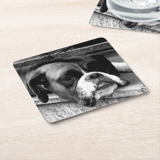 Boxer Hond Op Windowsill Coastercnm Kartonnen Onderzetters (Schuin)