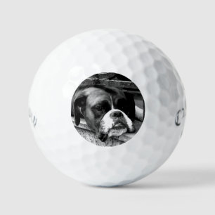 Boxer Hond Op Windowsill CSS GBCNM Golfballen