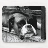 Boxer Hond Op Windowsill MP Arc2 Muismat (Voorkant)