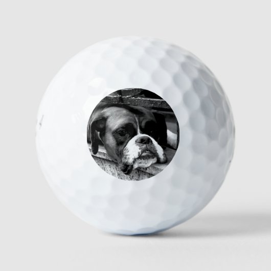 Boxer Hond Op WindowsZal BE6 GBCNM Golfballen (Voorkant)