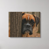 Boxer Hond Piep Kijk Canvas Afdruk (Voorkant)