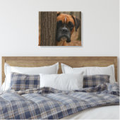 Boxer Hond Piep Kijk Canvas Afdruk (Insitu (Slaapkamer))