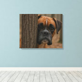 Boxer Hond Piep Kijk Canvas Afdruk (Insitu (Houten vloer))
