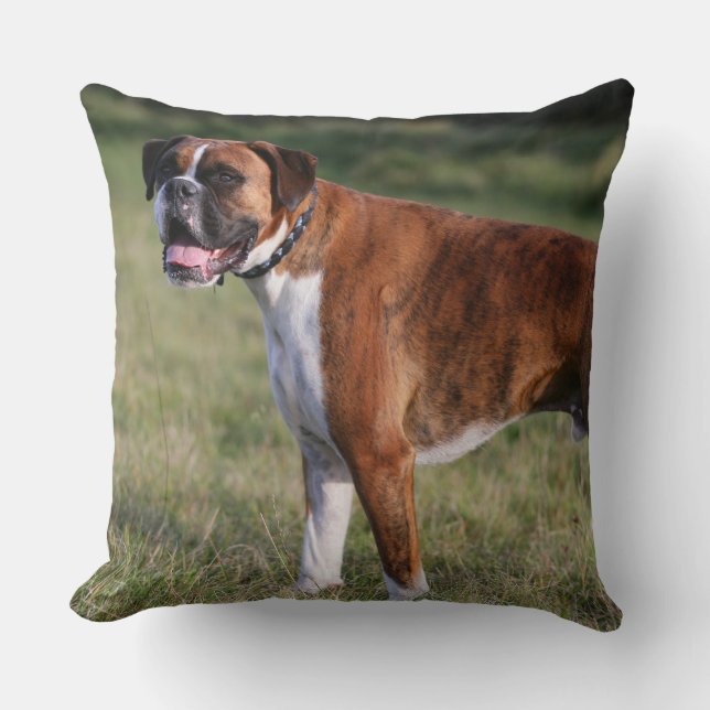 Boxer Hond Staand Kussen (Voorkant)