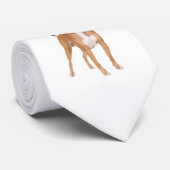 Boxer-hond Stropdas (Opgerold)