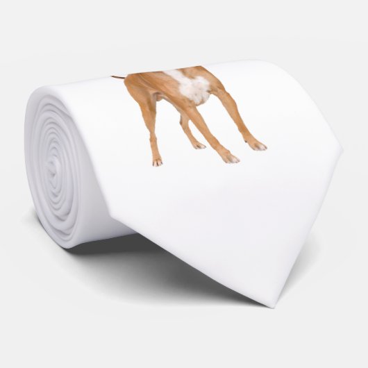 Boxer-hond Stropdas (Opgerold)