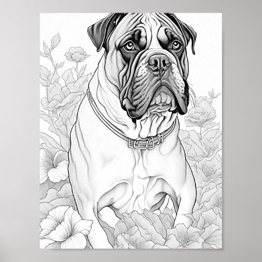 Boxer hond volwassen kleuring poster (Voorkant)