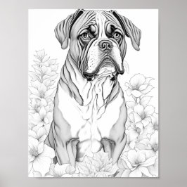 Boxer hond volwassen kleuring poster