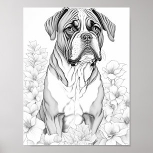 Boxer hond volwassen kleuring poster
