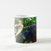 Boxer honden en bubbels mok (Center)