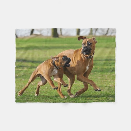 Boxer-honden rennen een grappige race fleece deken (Voorkant (Horizontaal))
