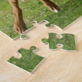 Boxer-honden rennen een grappige race legpuzzel (Zijkant)