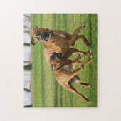 Boxer-honden rennen een grappige race legpuzzel (Verticaal)