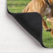 Boxer-honden rennen een grappige race muismat (Hoek)