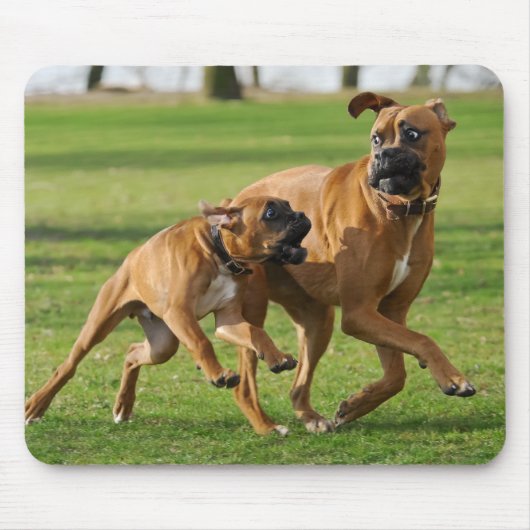 Boxer-honden rennen een grappige race muismat (Voorkant)