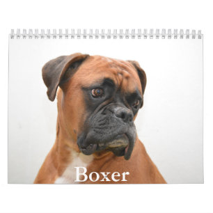 Boxer Hondenkalender Kalender
