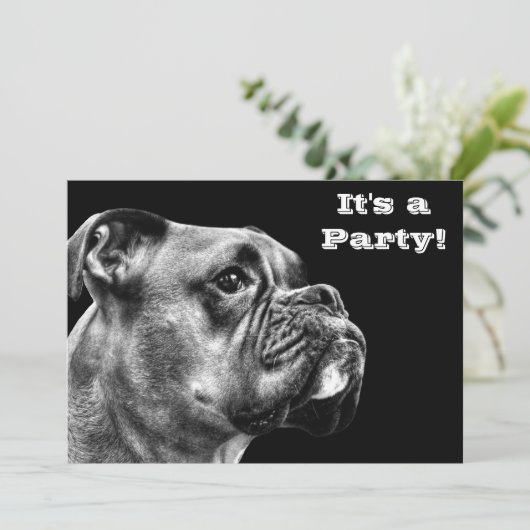 Boxer-hondenprofiel Kaart (Staand voorkant)