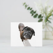 Boxer-Hondenras Briefkaart (Staand voorkant)